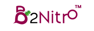 B2 Nitro logo