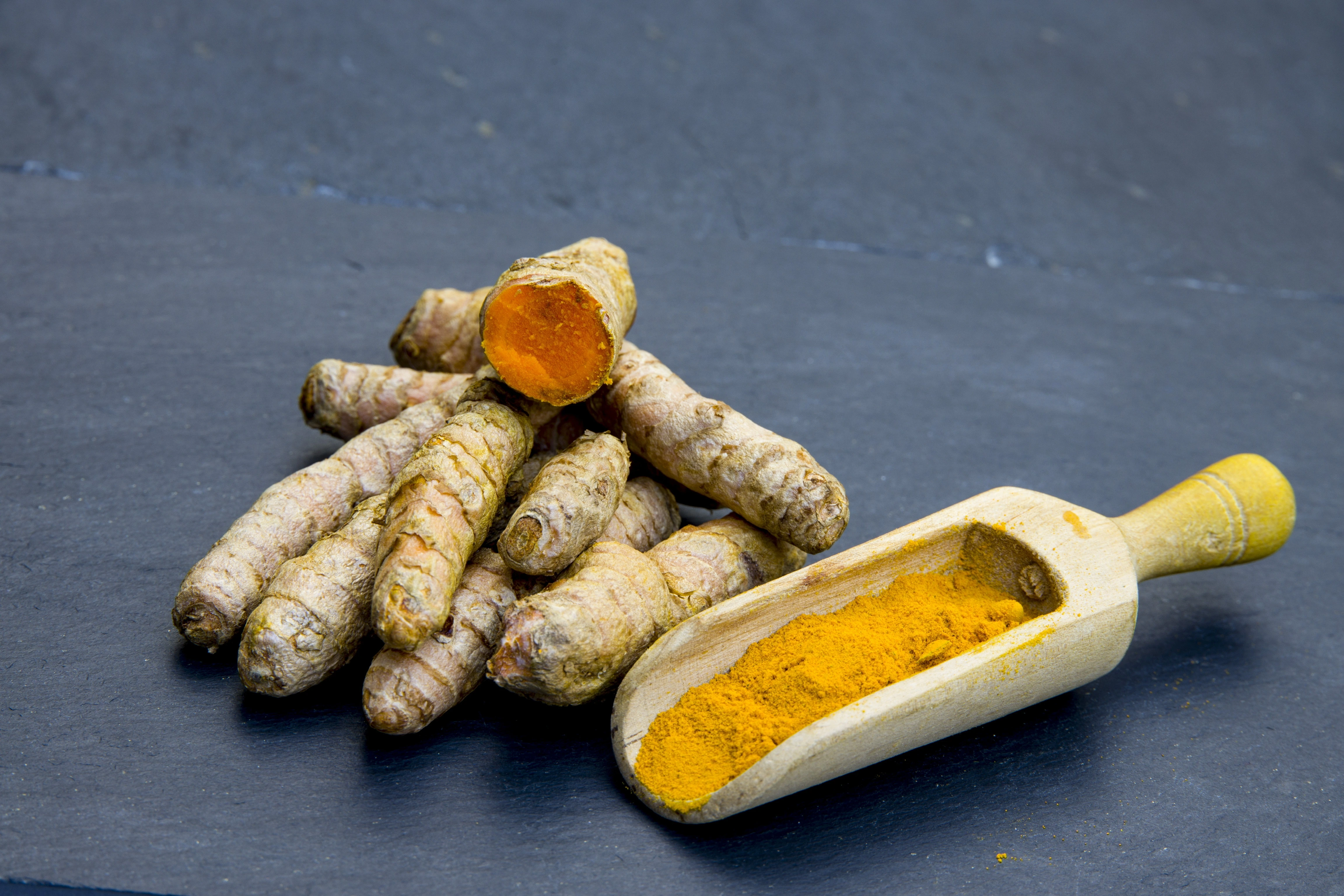 Turmeric rhizome and curcumin powder, source of BioTurmin